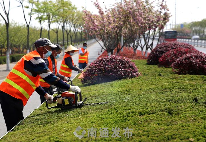 四平绿化工程招标网公告公示