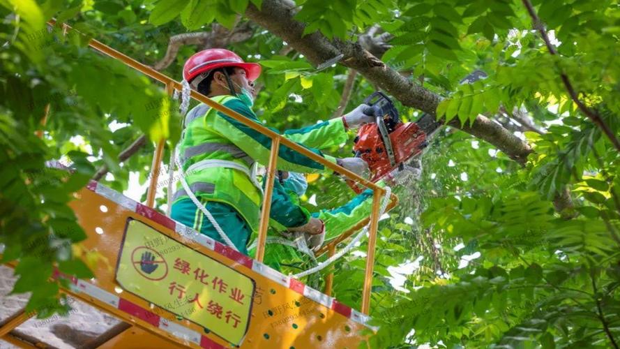 困扰城市园林管理的痛点:植物病虫害防治难题 困扰城市园林管理的痛点:植物病虫害防治难题