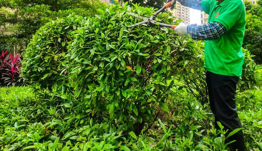 十年覆盖全国！全国230分钟无套进入200个市县已实施“交房即交证”改革